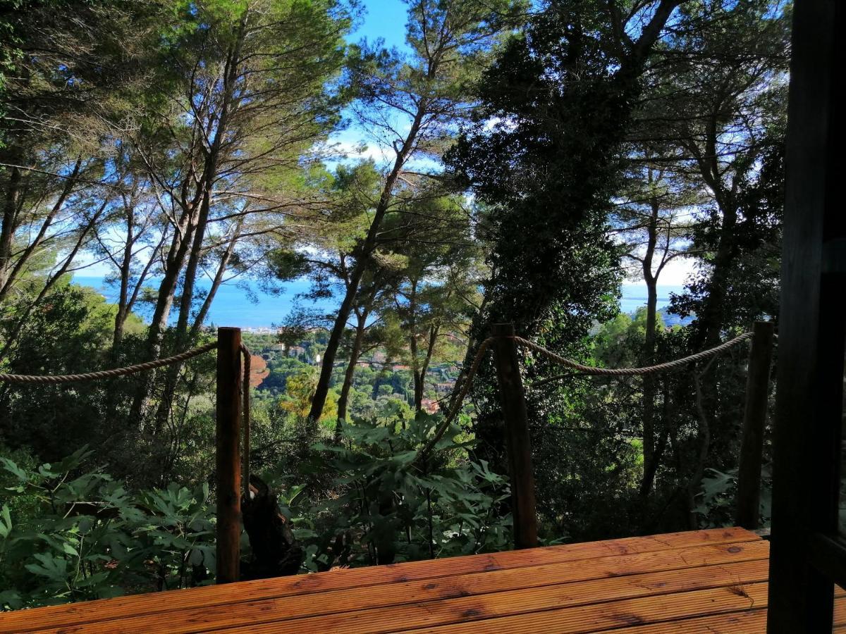 Cabane Azur Mountain Vallauris Esterno foto